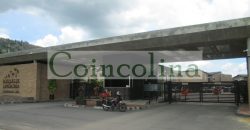 ARRIENDO CONDOMINIO RESIDENCIAL BOSQUES DE LA MONTAÑA CAJICÁ