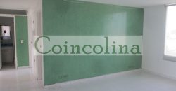 VENTA ACARIGUA SPRING