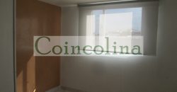 VENTA ACARIGUA SPRING