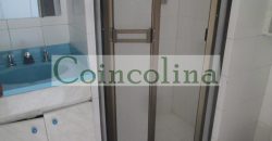 VENTA ACARIGUA SPRING