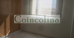 VENTA ACARIGUA SPRING