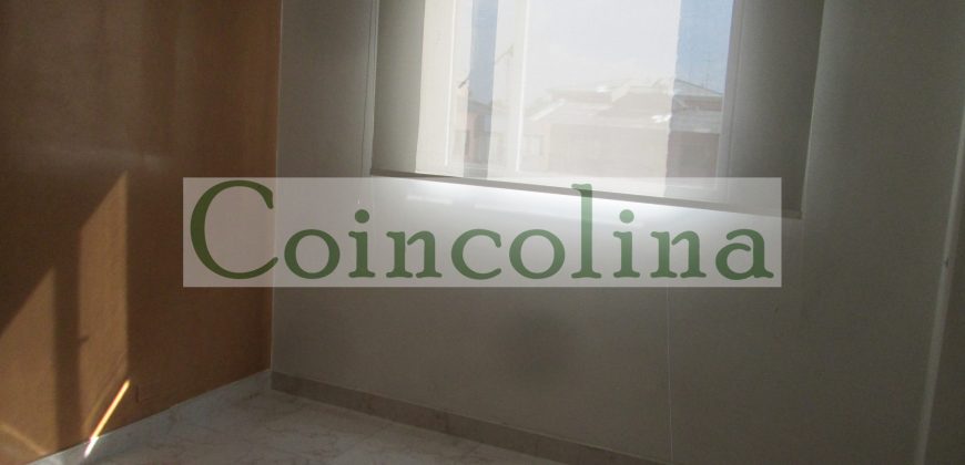 VENTA ACARIGUA SPRING