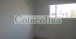 VENTA ACARIGUA SPRING