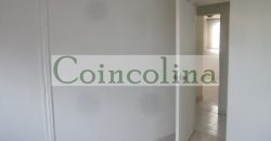 VENTA ACARIGUA SPRING