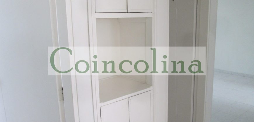 VENTA ACARIGUA SPRING