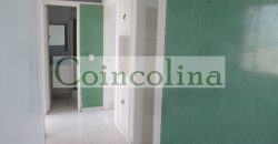 VENTA ACARIGUA SPRING