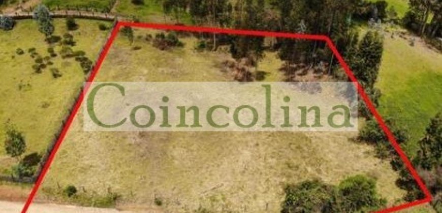 VENTA LOTE TABIO VEREDA RÍO FRÍO