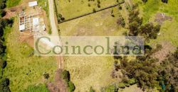 VENTA LOTE TABIO VEREDA RÍO FRÍO